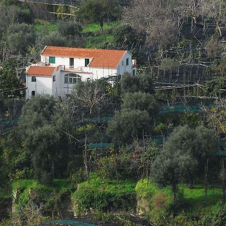 Azienda Agricola Veniero Piano di Sorrento Kültér fotó