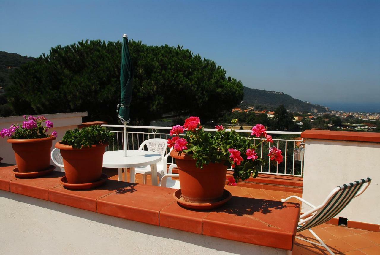Azienda Agricola Veniero Piano di Sorrento Kültér fotó