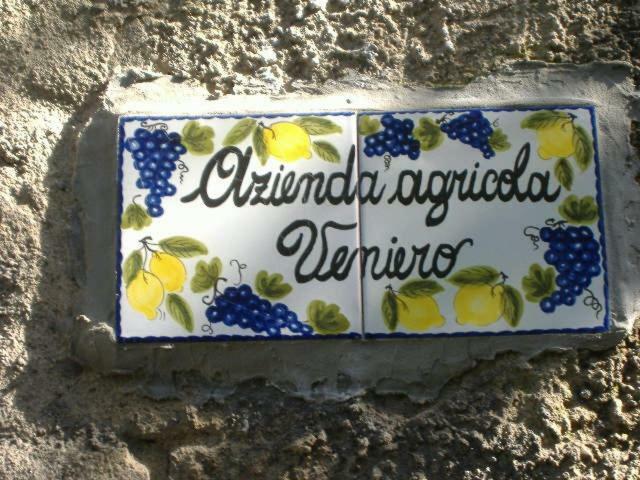Azienda Agricola Veniero Piano di Sorrento Kültér fotó